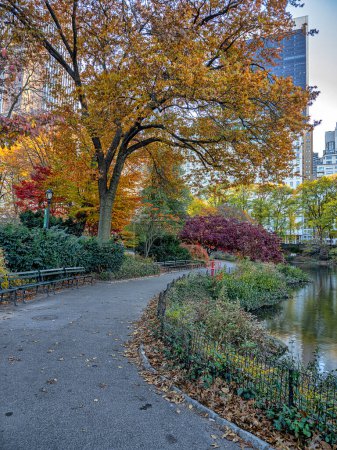 Téléchargez les photos : Central Park, New York en automne - en image libre de droit