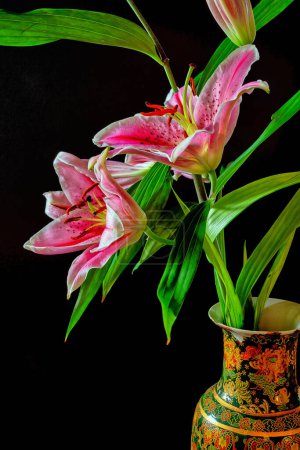 Téléchargez les photos : Lilium, le lis Stargazer est un lys hybride du groupe Oriental en vase sur fond noir - en image libre de droit