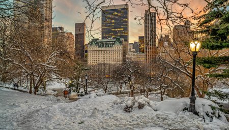 Téléchargez les photos : Central Park en hiver, tôt le matin, après une tempête de neige - en image libre de droit