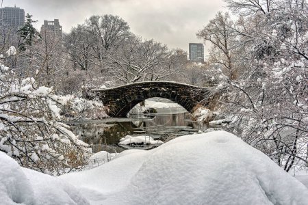 Téléchargez les photos : Pont Gapstow à Central Park pendant la tempête de neige, orning précoce - en image libre de droit