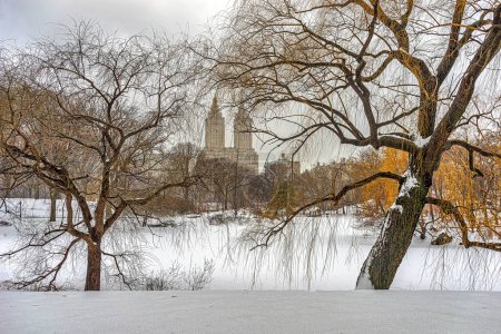 Foto de Central Park en invierno, temprano en la mañana, después de la tormenta de nieve - Imagen libre de derechos