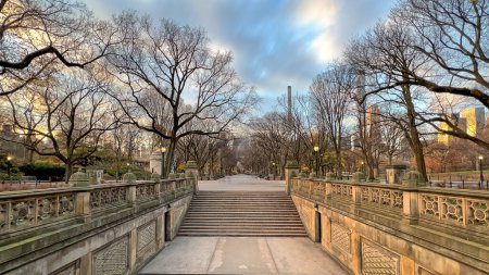 Téléchargez les photos : Le Mall à Central Park, New York, tôt le matin à la fin de l'automne - en image libre de droit
