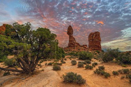 Photo for Arches National Park is a national park in eastern Utah, United States. - Royalty Free Image
