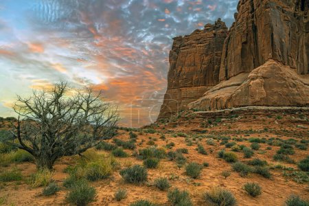 Foto de Arches National Park es un parque nacional en el este de Utah, Estados Unidos.. - Imagen libre de derechos