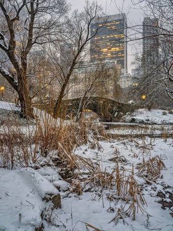 Foto de El puente de Gapstow durante la tormenta de nieve en Central Park, Nueva York - Imagen libre de derechos