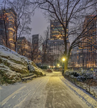 Téléchargez les photos : Central Park tôt le matin lors d'une tempête de neige - en image libre de droit