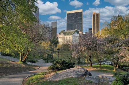 Téléchargez les photos : Printemps à Central Park, New York tôt le matin - en image libre de droit