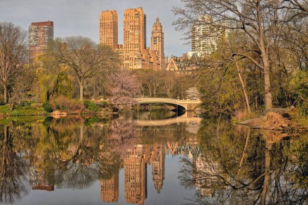 Foto de Puente de proa, Central Park, Nueva York a principios de primavera por la mañana en buen día - Imagen libre de derechos