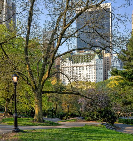 Foto de Primavera en Central Park, Nueva York por la mañana temprano - Imagen libre de derechos