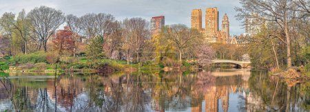 Téléchargez les photos : Pont Bow, Central Park, New York au début du printemps le matin par belle journée - en image libre de droit