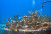 Caribbean coral reef off the coast of the island of Roatan, Honduras,shipwreck Longsleeve T-shirt #703547793