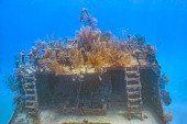 Caribbean coral reef off the coast of the island of Roatan, Honduras,shipwreck t-shirt #703547823