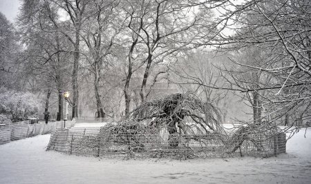 Foto de Central Park, Nueva York durante la tormenta de nieve, madrugada - Imagen libre de derechos