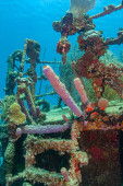 Caribbean coral reef on wreck off the coast of the island of Roatan Poster #716139788