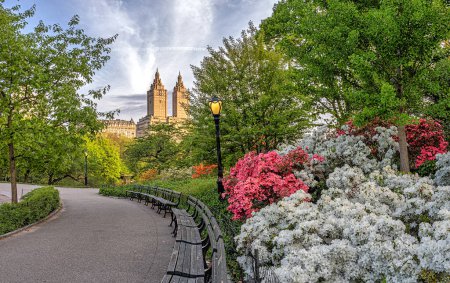 Primavera en Central Park, Nueva York, por la mañana temprano