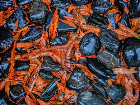 Pequeñas rocas negras con gotas de agua con hojas de otoño