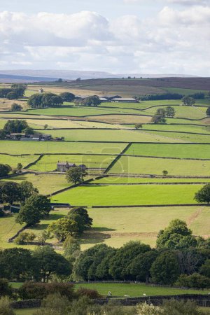 Téléchargez les photos : Campagne britannique, terres agricoles avec des champs divisés par des murs en pierres sèches et pâturage des moutons et des vaches. Nidderdale AONB, North Yorkshire, Angleterre, Royaume-Uni - en image libre de droit