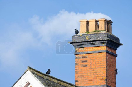 Téléchargez les photos : Wood smoke against a blue sky billowing from a brick chimney of an old UK house, with birds sitting on the roof. - en image libre de droit