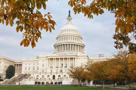 Foto de Edificio del Capitolio de los Estados Unidos al atardecer con follaje otoñal, Capitol Hill, Washington DC - Imagen libre de derechos