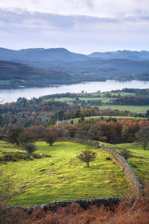 Photo for Lake District countryside. Autumn landscape with Lake Windermere viewed from Orrest Head, Cumbria, UK - Royalty Free Image