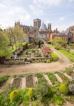 Photo for YORK, UK - April 17, 2023. York Minster behind vegetable gardens viewed from the York city wall. York, UK - Royalty Free Image