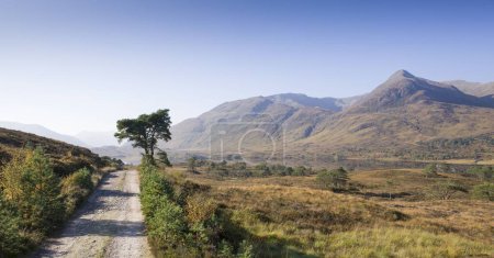 Téléchargez les photos : Chemin de terre à travers le paysage éloigné des Highlands écossais. Glen Affric, Écosse, Royaume-Uni - en image libre de droit