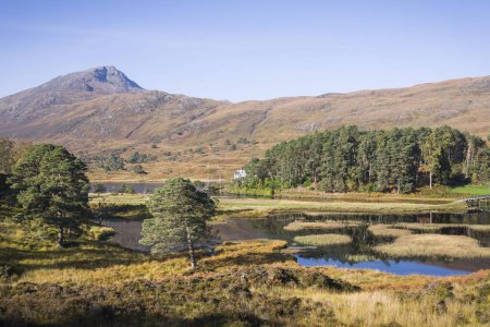 Téléchargez les photos : Glen Paysage avec lac, arbres et montagne. Scottish Highlands, Écosse, Royaume-Uni - en image libre de droit