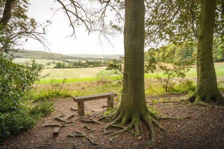 Photo for Bench on the edge of forest with view of rolling hills and countryside in Aylesbury Vale. Wendover, Buckinghamshire, UK - Royalty Free Image