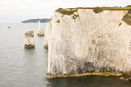 The Pinnacles, Old Harry Rocks. Meeresablagerungen vor der Juraküste, UNESCO-Weltkulturerbe in Dorset, Großbritannien