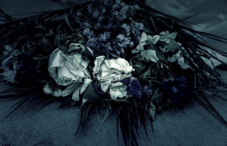 Téléchargez les photos : Detail of dead and dry aromatic flowers, abandonment - en image libre de droit