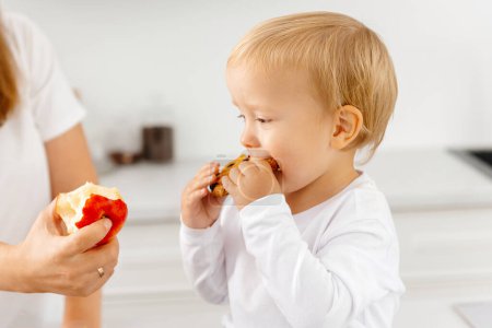 Photo for A child eats cookies and refuses to eat right and eat healthy. Reducetarian Eating Enjoying Plant Food - Royalty Free Image