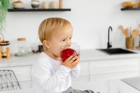 Foto de El niño come una manzana para desayunar sentado en la cocina. Alimentación saludable para toda la familia. - Imagen libre de derechos