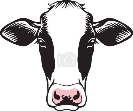 Photo for Cow Head Color Vector Illustration - Royalty Free Image