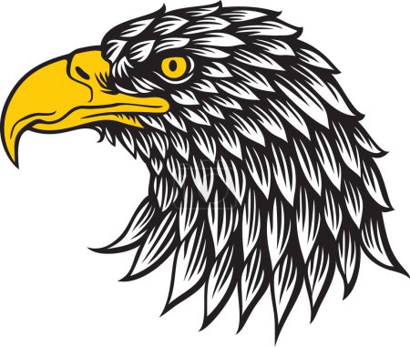 Illustration for Eagle Head in Profile Color. Bird Portrait. Mascot Design. Vector Illustration. - Royalty Free Image