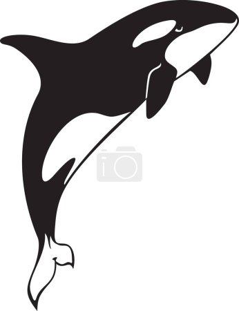 Photo for Killer Whale jumping. Orcinus Orca. Vector Illustration. - Royalty Free Image