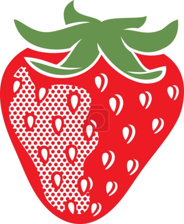 Photo for Strawberry Fruit Color. Vector Illustration. - Royalty Free Image