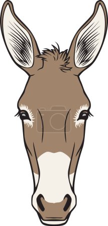 Illustration for Donkey Head Color. Vector Illustration. - Royalty Free Image
