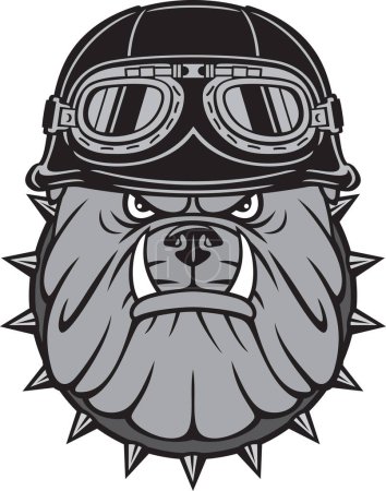 Photo for Angry Biker Bulldog Head with Motorcycle Helmet with Goggles Color. Vector Illustration. - Royalty Free Image