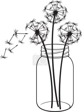 Téléchargez les illustrations : Fleurs de pissenlit dans un pot en verre noir et blanc. Illustration vectorielle. - en licence libre de droit