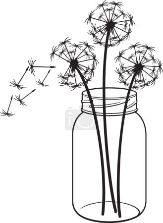 Téléchargez les illustrations : Fleurs de pissenlit dans un pot en verre noir et blanc. Illustration vectorielle. - en licence libre de droit