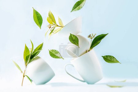 Foto de Tea cups with green leaves balanced in a stack isolated over light blue backround, trendy levitation or balance photo. High quality photo - Imagen libre de derechos