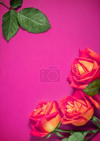 Photo for An empty message note with fresh flower roses isolated over magenta background. High quality photo - Royalty Free Image