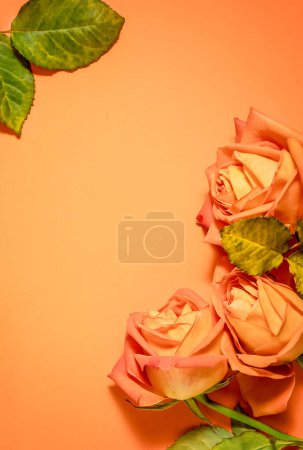Photo for An empty message note with fresh flower roses isolated over orange peach background. High quality photo - Royalty Free Image