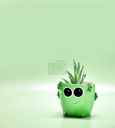 Photo for Fresh cactus in a ceramic pot isolated over light green background. High quality photo - Royalty Free Image