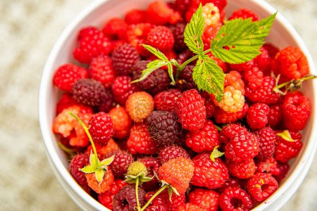 Photo for Fresh organic raw raspberries in a bucket just picked up on a berry farm, pick your own, summer harvest. High quality photo - Royalty Free Image