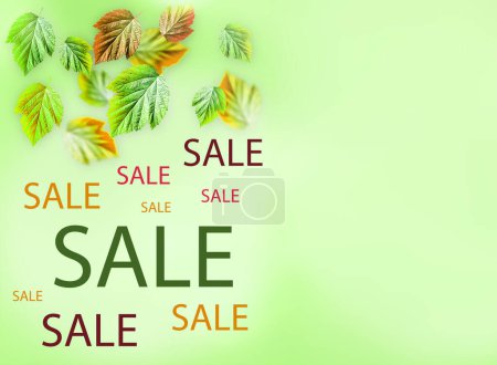 Photo for Summer or autumn sale announcement, promo, message or ad over green background. Seasonal sale banner. High quality photo - Royalty Free Image