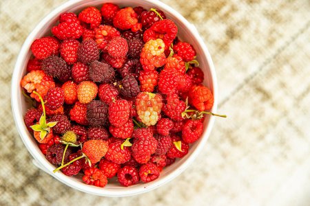 Photo for Fresh organic raw raspberries in a bucket just picked up on a berry farm, pick your own, summer harvest. High quality photo - Royalty Free Image