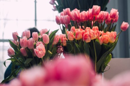 Eine atemberaubende Ausstellung mit rosa Tulpen, die die Schönheit und Vielfalt der Frühlingsblumen präsentiert. Ausstellung von Tulpensorten