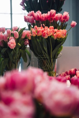 A stunning exhibition featuring a burst of pink varietal tulips, presenting the beauty and diversity of spring flowers. Exhibition of varietal tulips