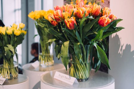 Sorprendentes tulipanes de loro brillante con vibrantes flores amarillas presentadas en un jarrón de vidrio en una exposición de tulipanes comisariada.